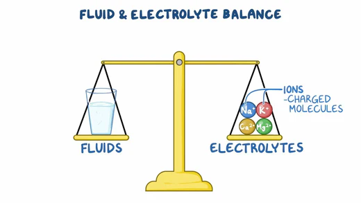 Cellular Hydration